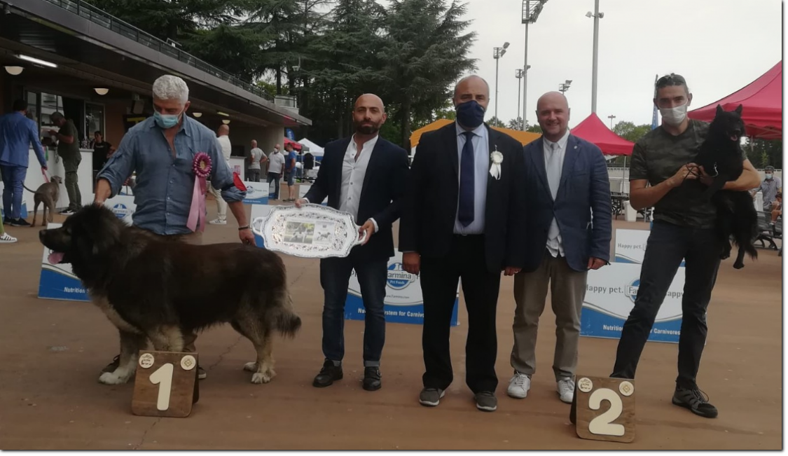 gruppo cinofilo luigi nerilli gruppo cinofilo luigi nerilli memorial 2021