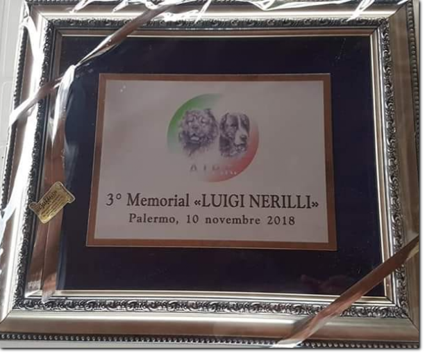 gruppo cinofilo luigi nerilli memorial 2018