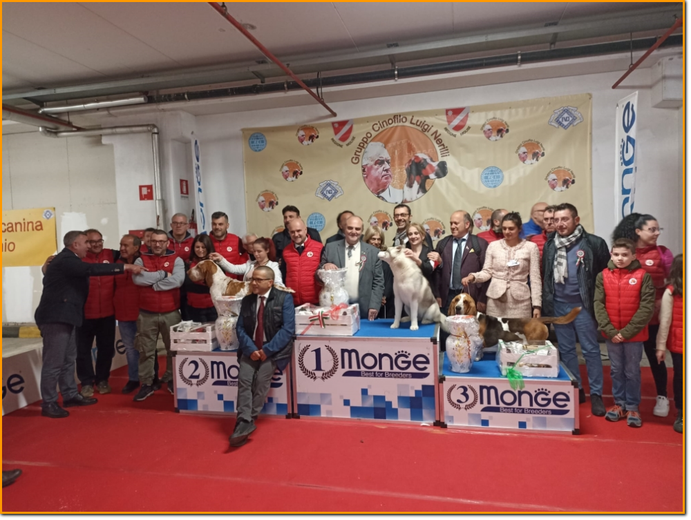gruppo cinofilo luigi nerilli expo 2023 BIS BIS expo nazionale del Sannio 2023