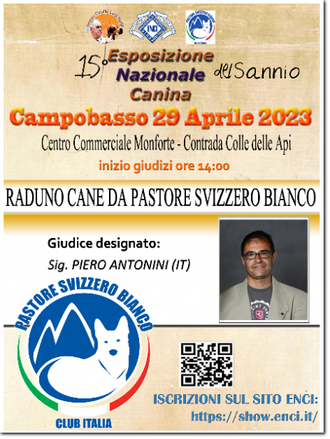 gruppo cinofilo luigi nerilli expo 2023 expo nazionale del Sannio 2023