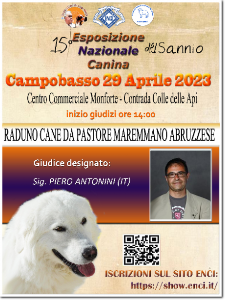 gruppo cinofilo luigi nerilli expo 2023 expo nazionale del Sannio 2023