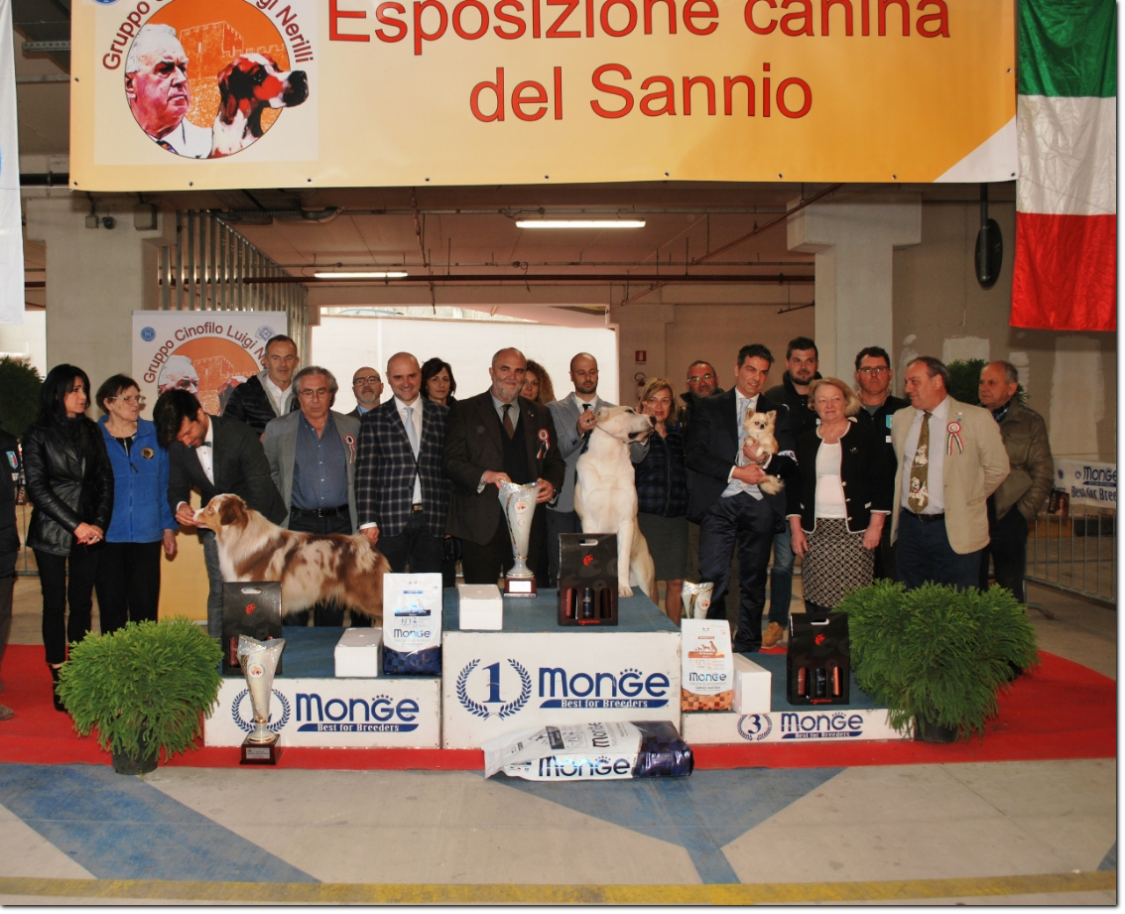 gruppo cinofilo luigi nerilli gruppo cinofilo luigi nerilli expo 2018