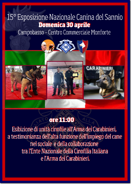 gruppo cinofilo luigi nerilli expo 2023 expo nazionale del Sannio 2023