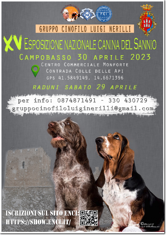 gruppo cinofilo luigi nerilli expo 2023 expo nazionale del Sannio 2023
