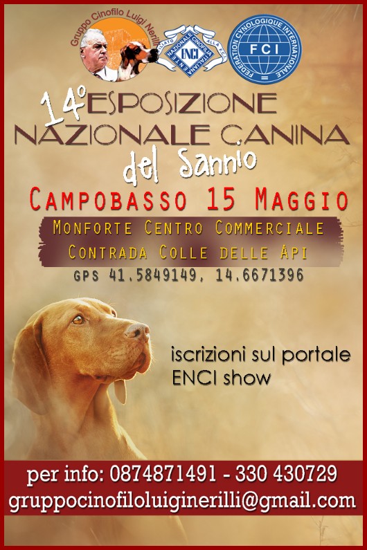 14°Esposizione canina del Sannio 2022