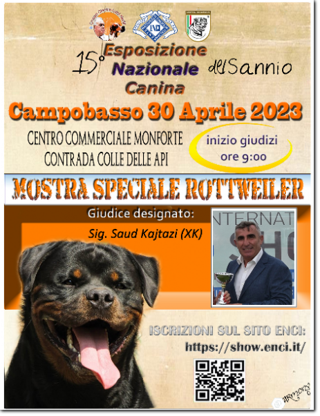gruppo cinofilo luigi nerilli expo 2023 expo nazionale del Sannio 2023