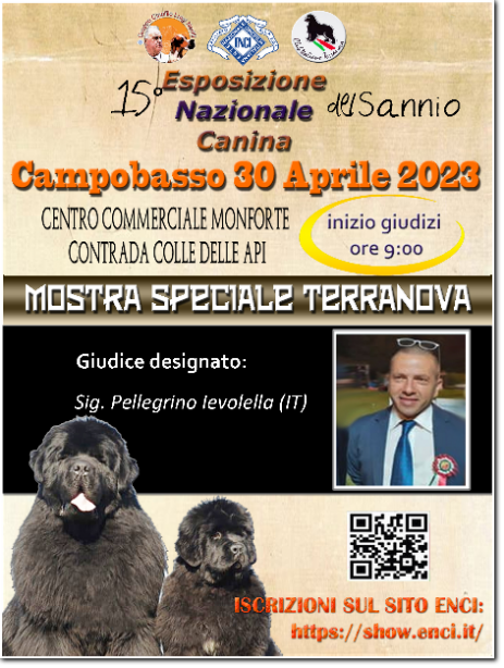 gruppo cinofilo luigi nerilli expo 2023 expo nazionale del Sannio 2023