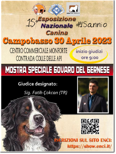 gruppo cinofilo luigi nerilli expo 2023 expo nazionale del Sannio 2023