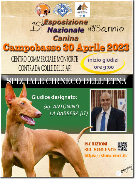 gruppo cinofilo luigi nerilli expo 2023 expo nazionale del Sannio 2023