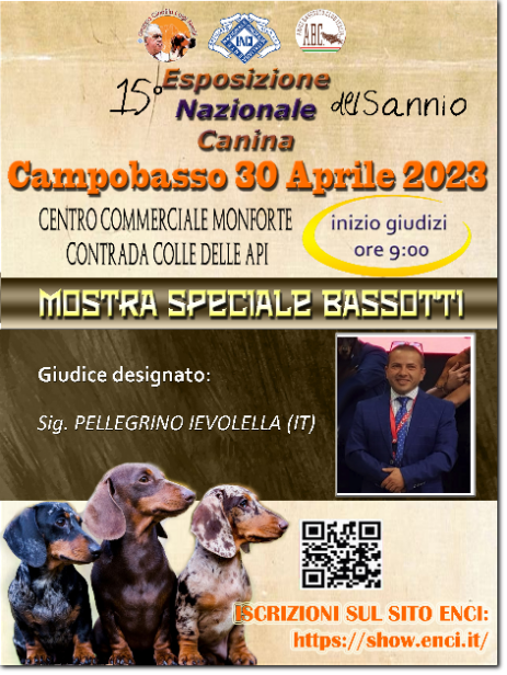 gruppo cinofilo luigi nerilli expo 2023 expo nazionale del Sannio 2023