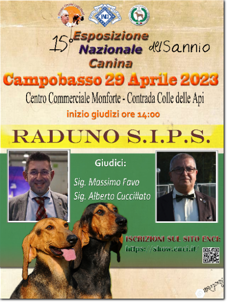 gruppo cinofilo luigi nerilli expo 2023 expo nazionale del Sannio 2023