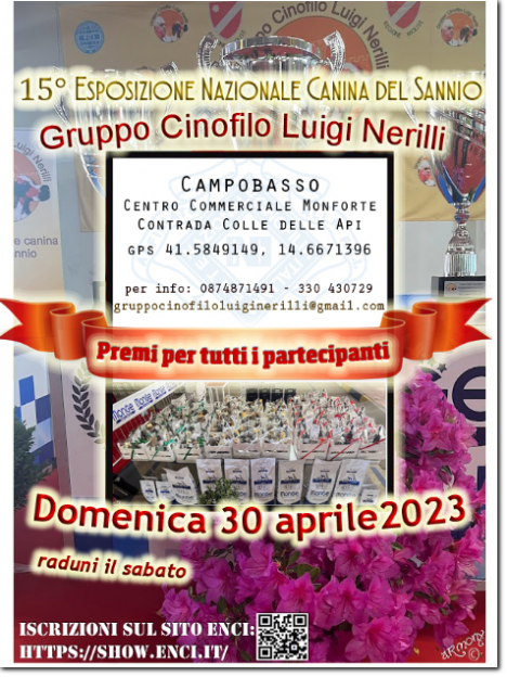 gruppo cinofilo luigi nerilli expo 2023 expo nazionale del Sannio 2023