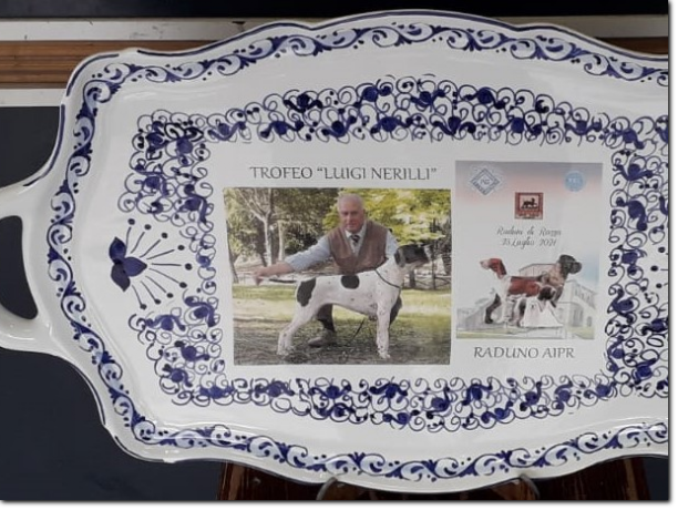 gruppo cinofilo luigi nerilli gruppo cinofilo luigi nerilli memorial 2021