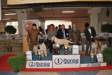 DSC_0262 (FILEminimizer).JPG