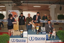 DSC_0282 (FILEminimizer).JPG