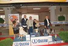 DSC_0290 (FILEminimizer).JPG