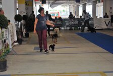 DSC_0050.JPG