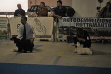 DSC_0056.JPG