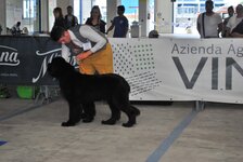 DSC_0057.JPG