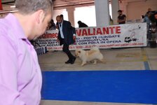 DSC_0060.JPG