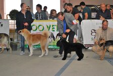 DSC_0066.JPG
