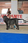 DSC_0076.JPG