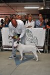 DSC_0079.JPG