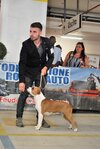 DSC_0080.JPG