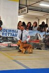 DSC_0091.JPG
