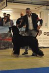 DSC_0098.JPG