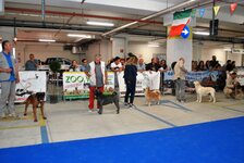 DSC_0111.JPG