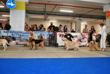 DSC_0112.JPG