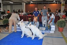 DSC_0151.JPG