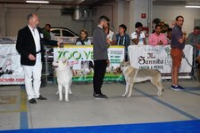DSC_0158.JPG