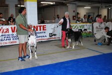 DSC_0169.JPG
